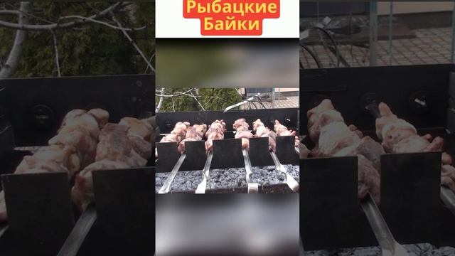 Рыбацкие байки шашлык short #shorts #Shortsvideos #fishing смотреть онлайн