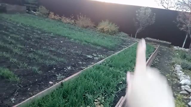 ПРАВИЛЬНАЯ И УДОБНАЯ ПЛАНИРОВКА ОГОРОДА ДЛЯ ОТЛИЧНОГО УРОЖАЯ!