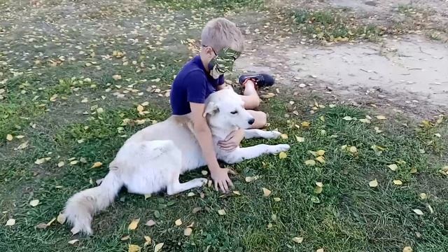 Атака беляша 2 серия смотреть онлайн