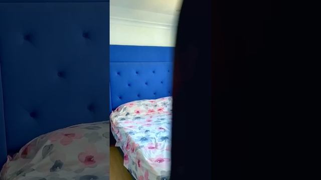 Что они задумали?