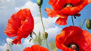 Истории из Жизни  "Счастье из ниоткуда" Слушать рассказ / Моя история