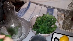 Мохито на зиму. вообще вкусно