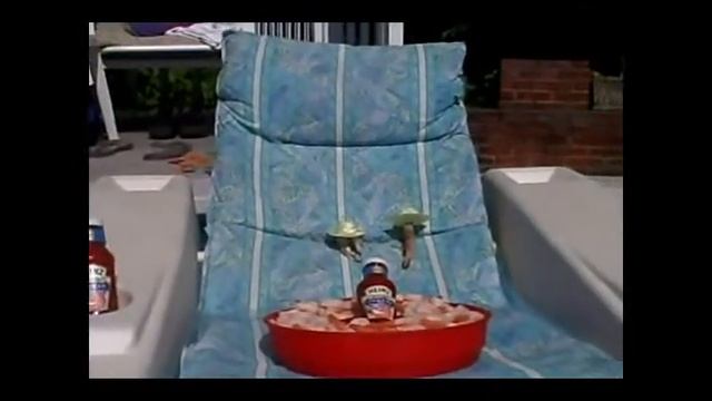 Heinz 57 on vacation with the Shimp Family & Friends смотреть онлайн