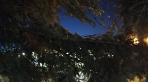Christmas,🎄✨🎄 ,ornament, PARK, 🎄🎄🎄✨❄✨Рождество  ледяные скульптуры елки
