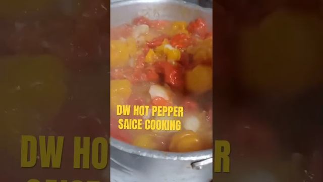 DW HOTTEST PEPPER SAUCE #chayote #cooking #gardening #chayotesquash #cookingfood #foodpreparation смотреть онлайн
