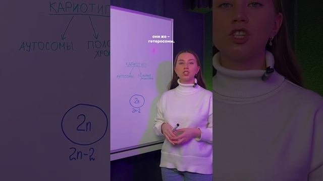 кариотип, запоминай! #биология #егэ #подготовкаегэ #подготовка #егэ2024