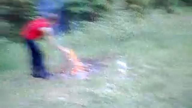 Отдых в лесу смотреть онлайн