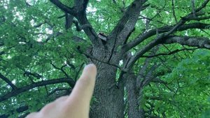 РОЕЛОВСТВО 2021/НЕОЖИДАННЫЙ ПОВОРОТ