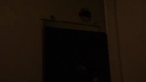 Электрический лифт V=0,71 м/с, г-п 320 кг (432)