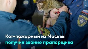 Кот-пожарный из Москвы получил звание прапорщика