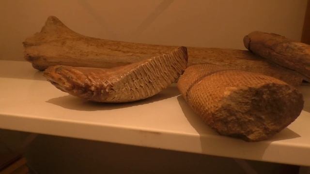 Виртуальная экскурсия по музею