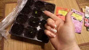 Парник с светодиодной лампой. Эконом вариант!