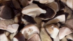 Что я делаю с белыми грибами(обабки боровички подосиновики)