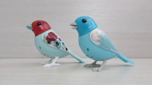 Поющая интерактивная птичка DigiBirds, Spin Master