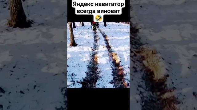 где пратрапинка нах? #tiktok #shorts #trending