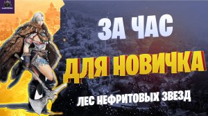 ЛЕС НЕФРИТОВЫХ ЗВЕЗД☛МНЕНИЕ И ТЕСТ☛ Black Desert