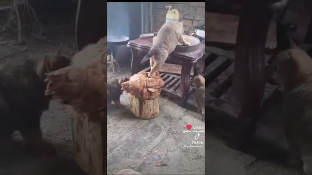 смешно