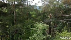 Евгений Лугов. Диагностика Кармы. Учебное видео#8 по Экзорцизму. Дистанционное отмаливание рода