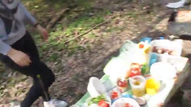 Шашлыки.30 апреля.Вышли на природу. смотреть онлайн