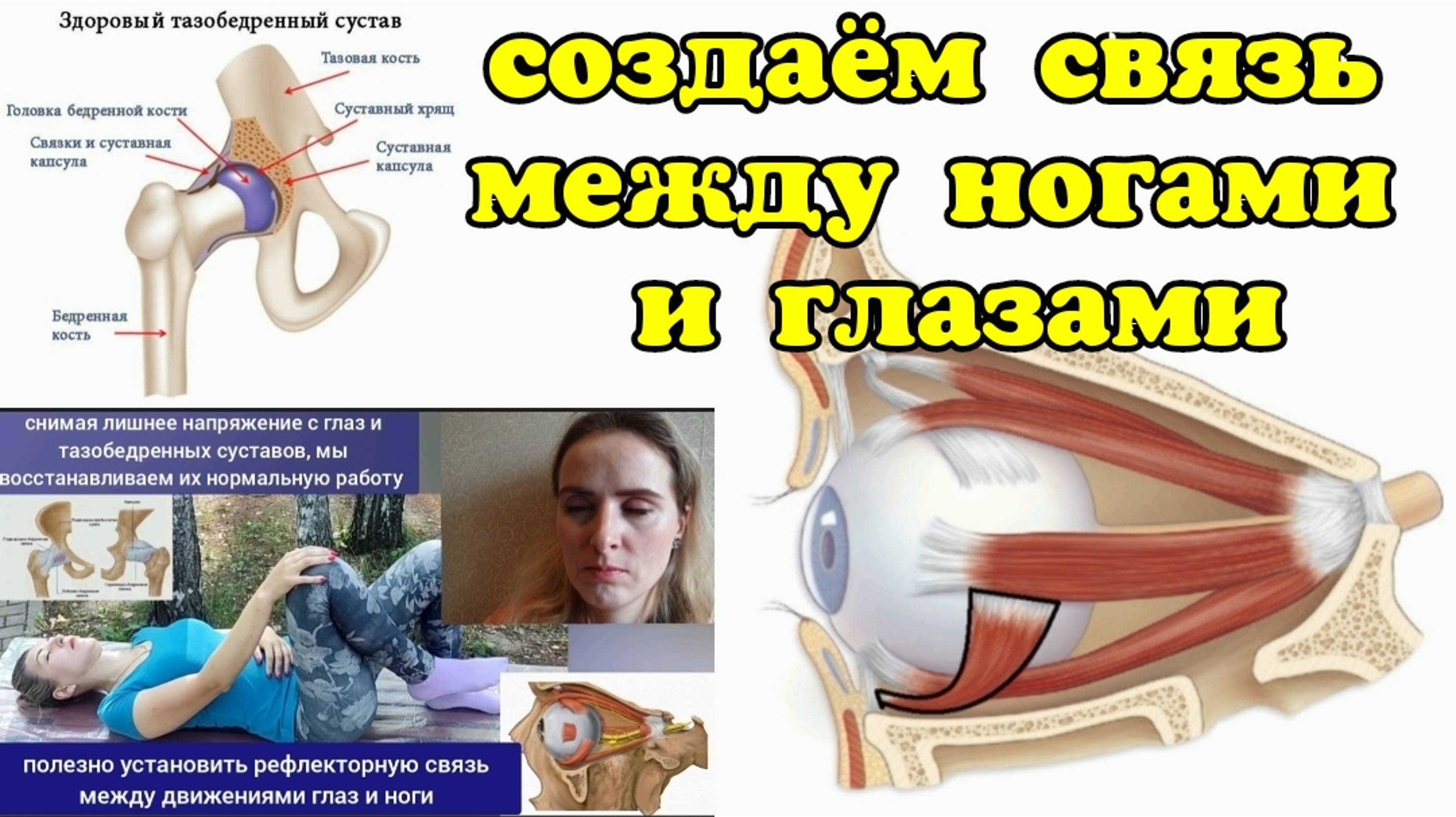 Укрепляя тазобедренный хрящ, укрепляем глазное кольцо и улучшаем зрение. Упражнения