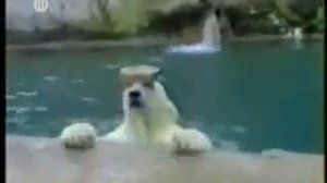 очень смешной клип приколы подборка Very Funny Video Clips