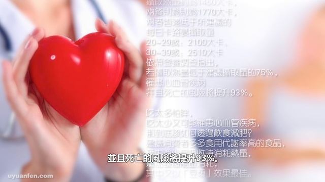 營養師說：心血管死亡風險飆增93％,一天一餐太傷身！藥師介紹你攝取足夠營養！永久保證你有完美的身材又能身體健康！ смотреть онлайн