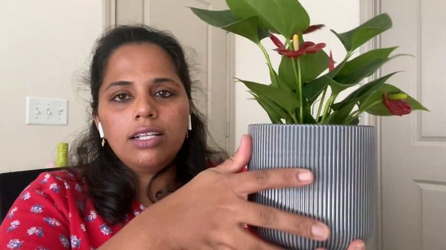 IKEA Shopping Haul In Tamil | kitchen | Artificial plants | Eatables | USA Tamil Vlog смотреть онлайн