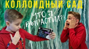 Что я вырастил?/ЭКСПЕРИМЕНТ/Коллоидный сад
