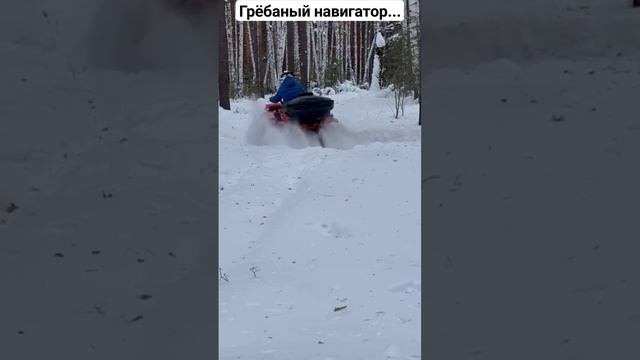 Навигатор завёл... #shorts #tiktok #trending