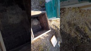 Чистим улей после зимы