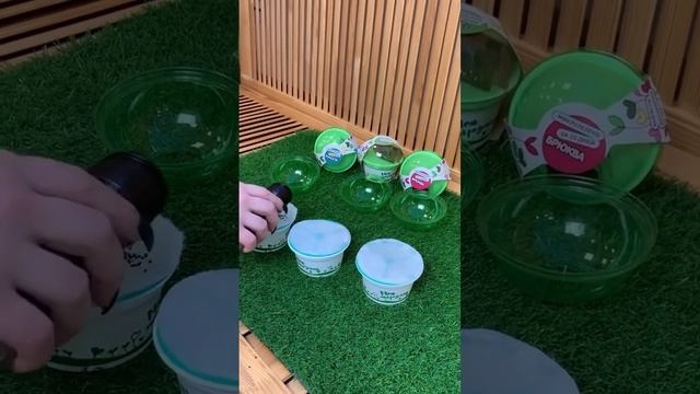 Набор для выращивания микрозелени. Вырасти микрозелень за 7 дней.Купить на OZON / WB / KAZANEXPRESS смотреть онлайн