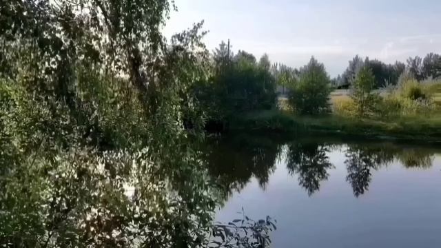 ПРИБЫЛИ В ДОМ ОТДЫХА. ОЛЬГА УРАЛОЧКА LIVE. ОБЗОР. смотреть онлайн