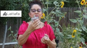 LATTAFA PURE MUSK perfume Arabe