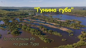 Гунина губа, Талисман, Маломальский. Вид с дрона.