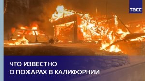 Что известно о пожарах в Калифорнии