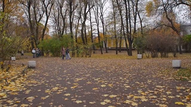 Грибная разведка 26 октября 2024. Всеволожский район.