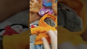 Обзор всей одежды басиков