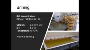 Paul Thomas - Dairy Technology & process controls for Dutch-style cheeses