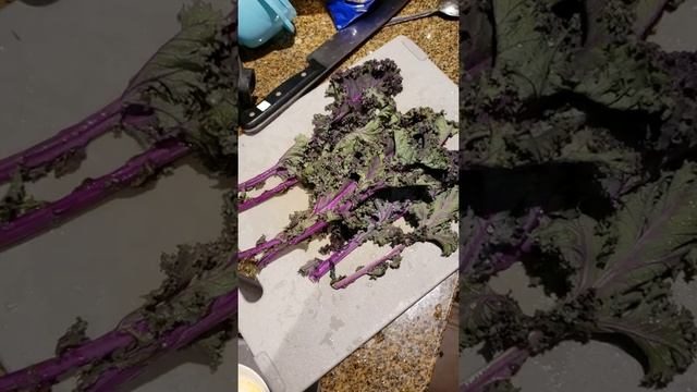 Smoothie Bowl смотреть онлайн