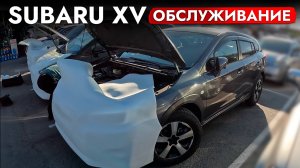 КАКОЙ КРОССОВЕР КУПИТЬ В 2025❓ ПРИВЕЗЛИ SUBARU XV❗️ ЛУЧШИЙ КРОССОВЕР ДЛЯ СЕМЬИ