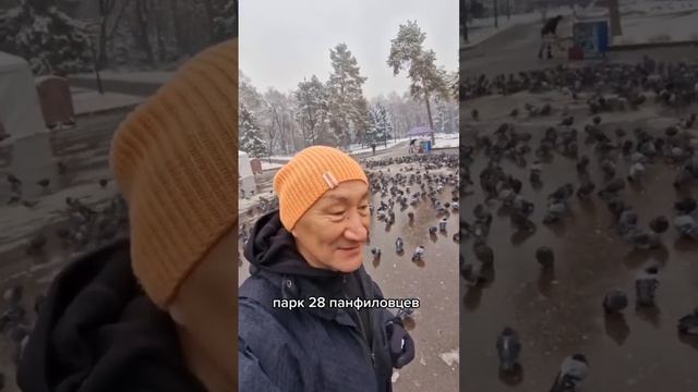 АЛМАТЫ за 24 часа смотреть онлайн