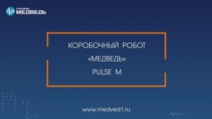 Коробочный робот_Pulse M