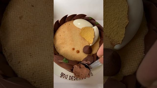 Moist Belgian chocolate truffle cake with salted caramel fudge brownie cake Nutella cheesecake