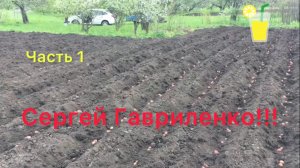 Часть 1 из3/ Самый простой способ посадки картофеля мотоблоком/ Как перевозить мотоблок в прицепе .