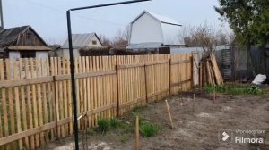 217. Крашу забор соседу. Сажаю Розы.