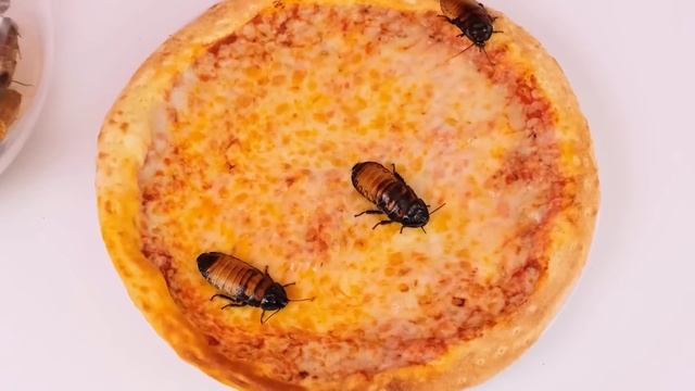 Челлендж Цветная Загадочная коробка | Смешные Cитуации от TeamTeen Challenge смотреть онлайн