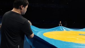 Сборка и разборка борцовского ковра РОССАМБО, размером - 11x11 м.