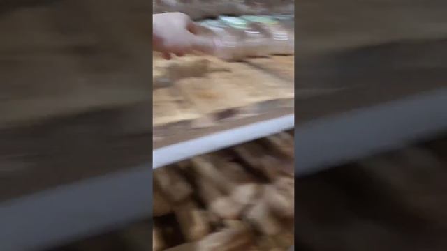 Пикарник смотреть онлайн