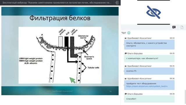 Введение в нефрологию собак и кошек. Прокофьева Наталия