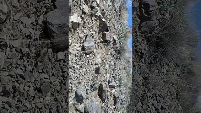 Чырыш терип жениздер смотреть онлайн